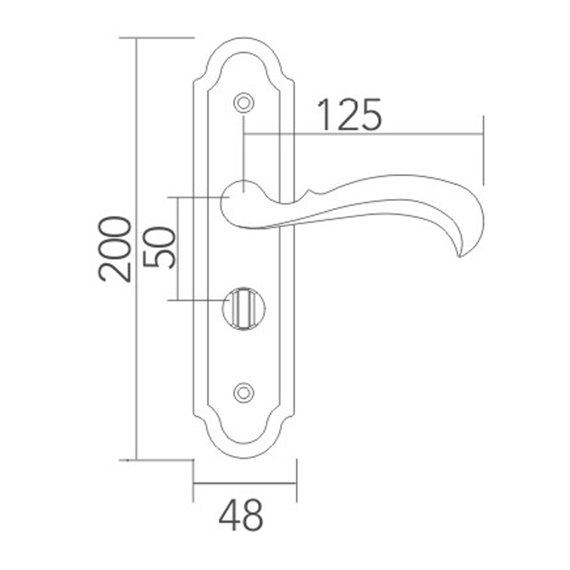 Stainless steel door lock