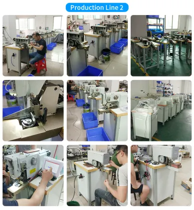 Template Computerized Pattern Sewing Machine DS-3020D