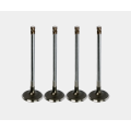 Automotive Intake Valve Set