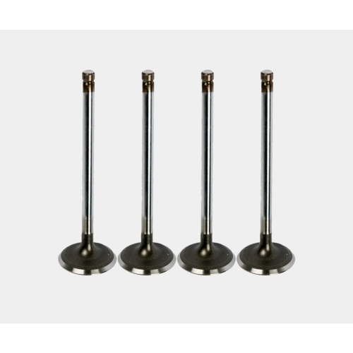 Automotive Intake Valve Set