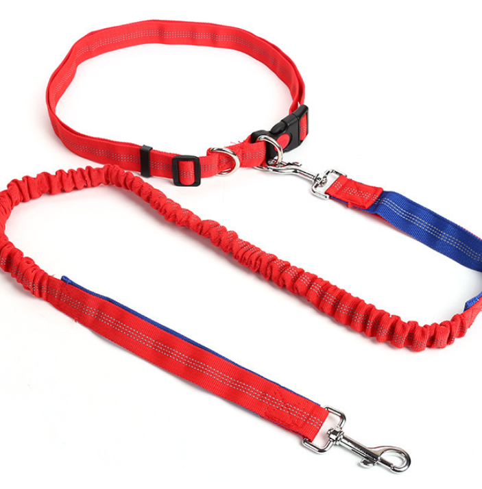 Dog Bungee Leash