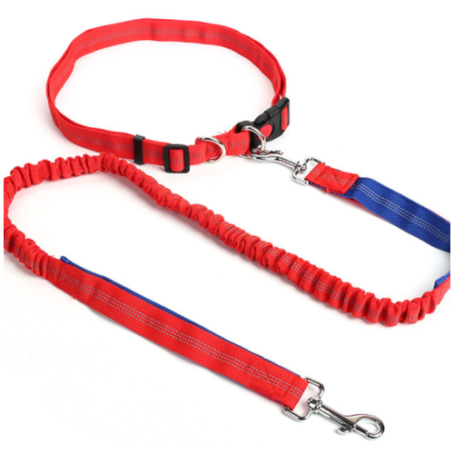 Multicolor Nylon Regulowane Ręce Free Dog Bungee prowadzi