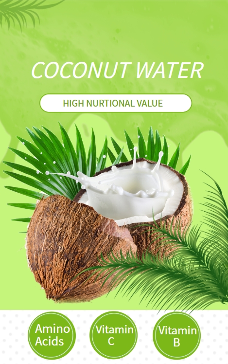 Coconut Water Powder