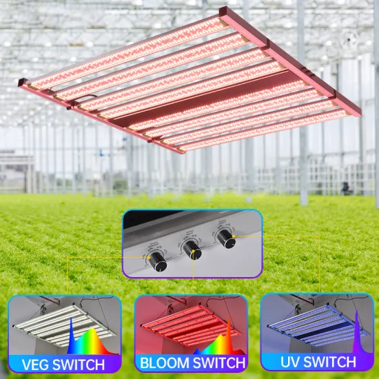 Best Full Spectrum 1000W Samsung LED Grow Light for Commercial Horticulture and Vertical Farming