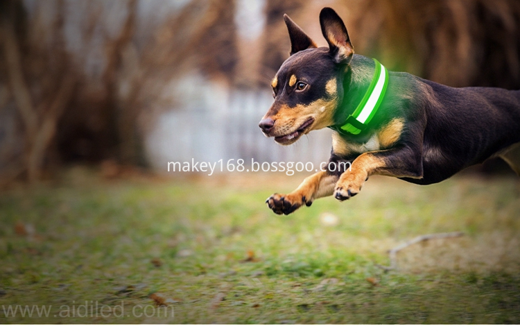 Dog Collars Led Lights
