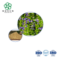 Baical Skullcap Root Extract - Bulk Baicalin 85% for Immune & Anti-inflammatory Supplements