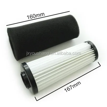 Replacement Carbon Filter for Dirt Devil F111 F112 AD47936 and 440010557 Vacuum Cleaner