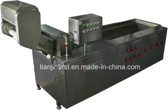 Eddy Type Vegetable Washing Machine Bubble Washing Machine with Ozone