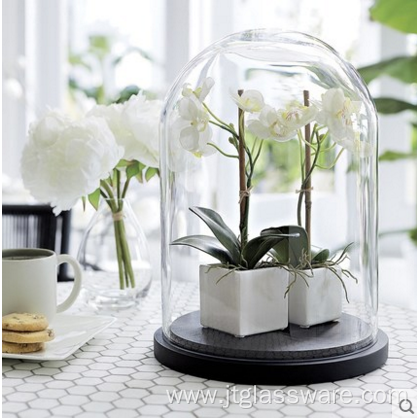 Customize High Quality Glass Display Dome