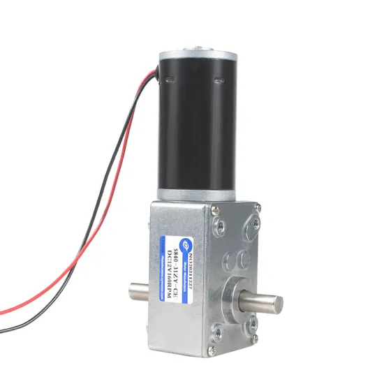 12V 24V DC Worm Geared Dual 8mm Diameter Shaft Motor with High Torque Gearbox (XYT 5840-31ZY)
