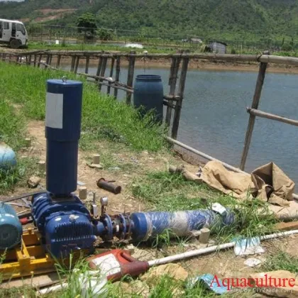 5 hp Aquaculture Roots Blower
