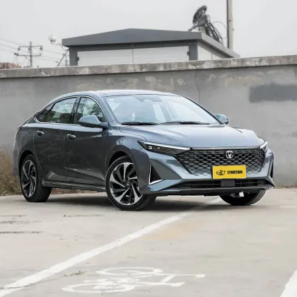 2023 Raeton Plus 1.5T DCT Flagship Model