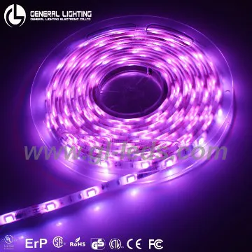 SMD 5050 chase light led strip dimmer 12v