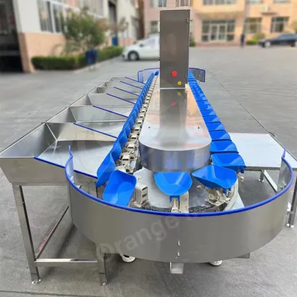 ORME Dried Anchovy Cucumber Citrus Weight Sort Machine Manufacturer