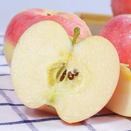 Shanxi Fuji apple juicy apple