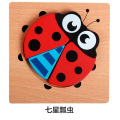 ladybird