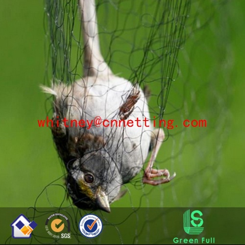 Anti Bird Netting black mist networkbird capture networklive bird trap net Supplier