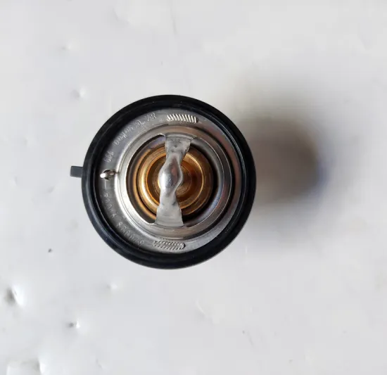 Thermostat Replacement for DFSK Glory Models: 500, 560, 580 with 1.5T Engine