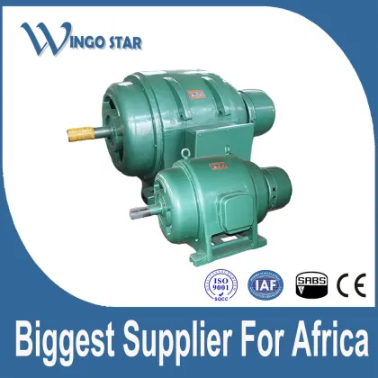 WINGO STAR iec standard three phase electric motor