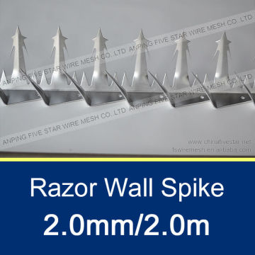 2.0mm/2.0m Razor Wall Spikes for Sale