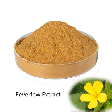Buy online active ingredients Feverfew Extract powder