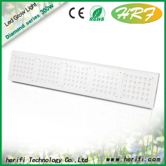 Greenhouse indoor grow led lights