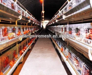 chicken cage