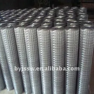Galvanized Welded Wire Mesh