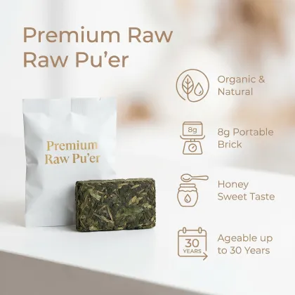 2026 Bingdao Golden Leaf Raw Puer hTea 8g Mini Cakes