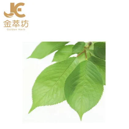 mulberry leaf extract powder