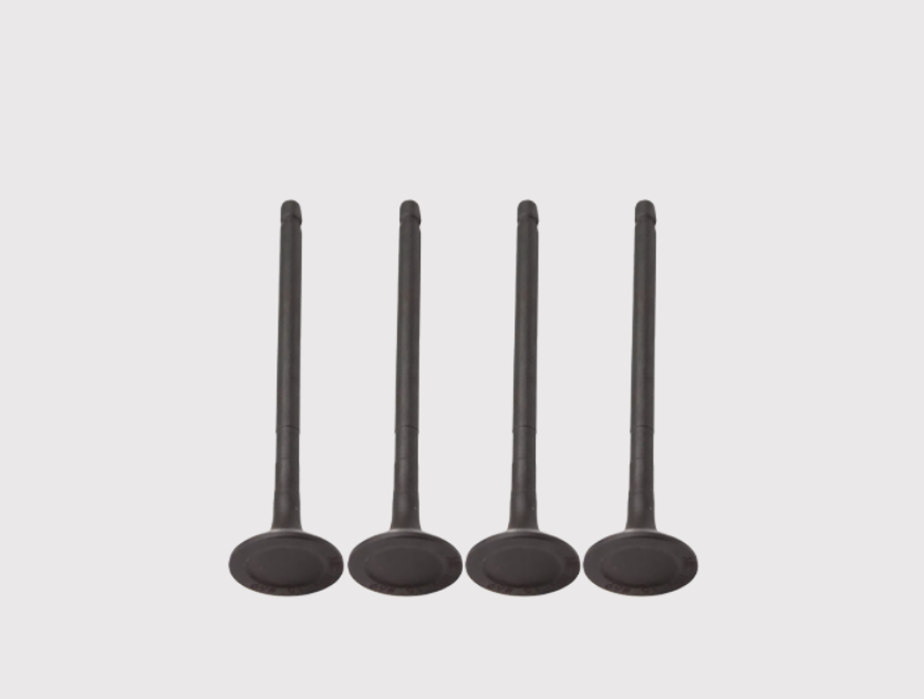 Intake Valve 22211-02220 for Engine