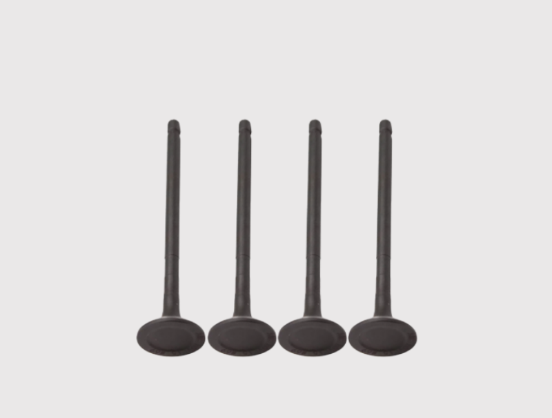 Intake Valve Replacement for OEM