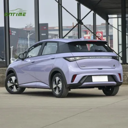 Ontime Energy-Saving and Environmentally Friendly New Energy Household Electric Vehicles