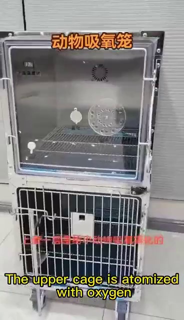 Stainless Steel ICU Oxygen Cage for Pets
