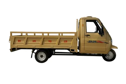 China Passenger Motorized Tricycle: Tricycles, Mini Trucks, and Electric Vehicles
