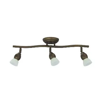 Wave 2-Head Track Lighting Fixture