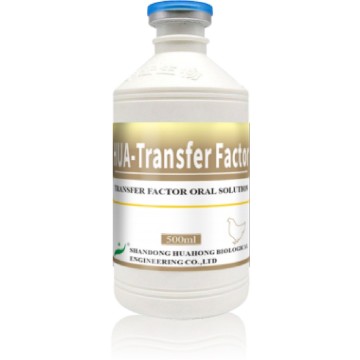 Solution orale de facteur de transfert pour poulets