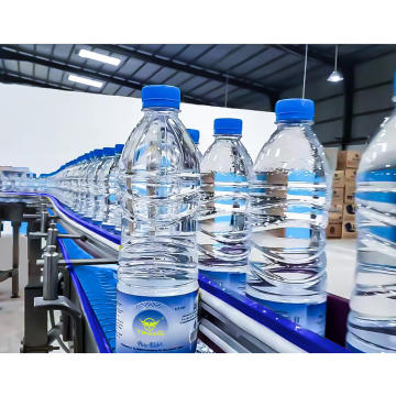 Automatic Bottle Drinking Water Filter Filling Production Line