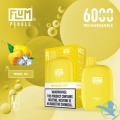 Flum Pebble Vape 6000puffs