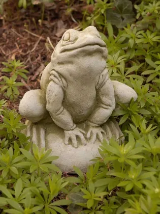 With mother's love as the theme of the frog sculpture on a fishing trip