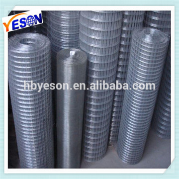 green vinyl coated welded wire mesh fence