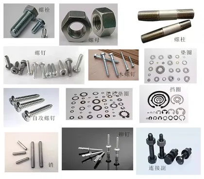 Bolt / Screw / Screw Bolt / Threaded Bolt