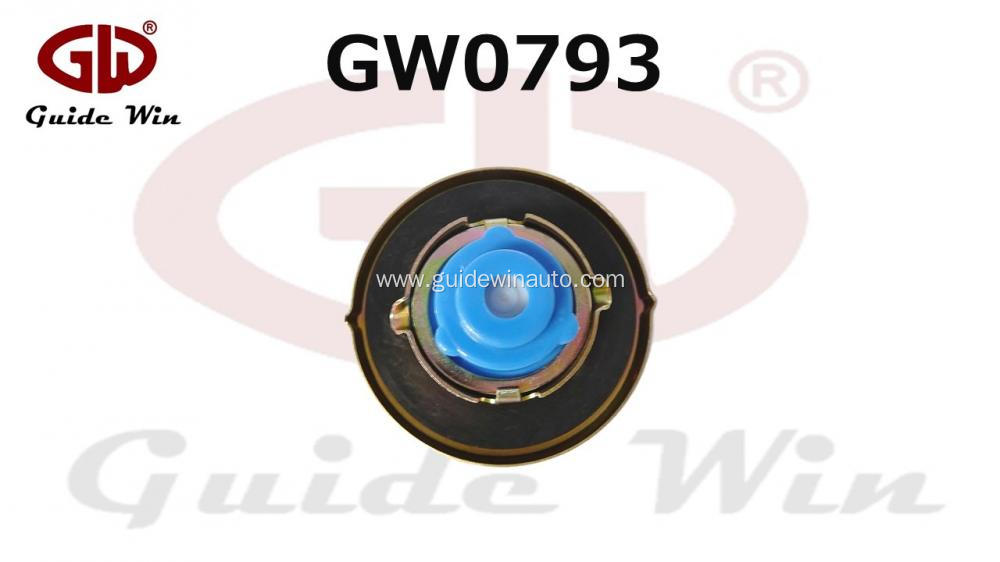 Automobile Gas Cap for Ford