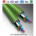 Cable MC 1kv 12-2 AWG Cable blindado BX