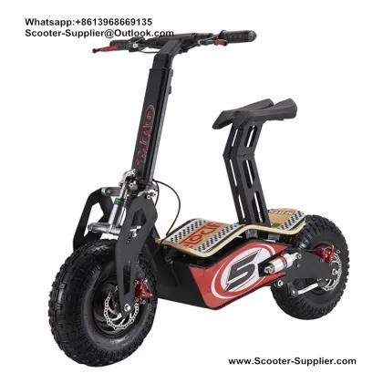 Italy Velocifero Transmission Scooters Chain Drive