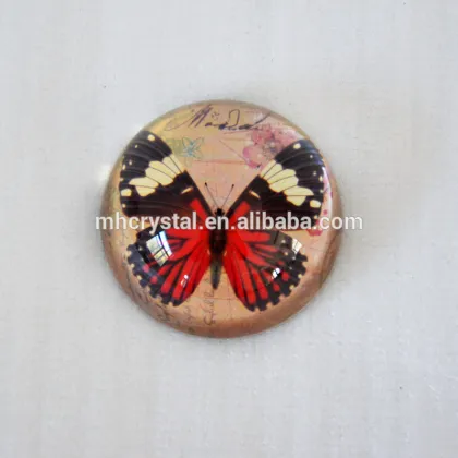 Butterfly Glass dome paperweight MH-F0524
