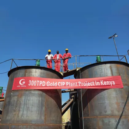 Cil Gold Processing Plant Machinery Leaching Beneficiation