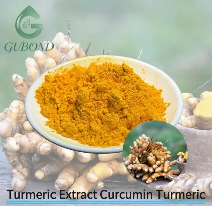 Turmeric Extract Curcumin-Rich Ingredient Nutritional Cosmetic