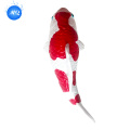 /msite/products/detail/productid/68335018/id/1717112.html
