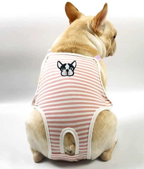 Small Dog Cute Summer Cotton Stripe Sanitary Pantie